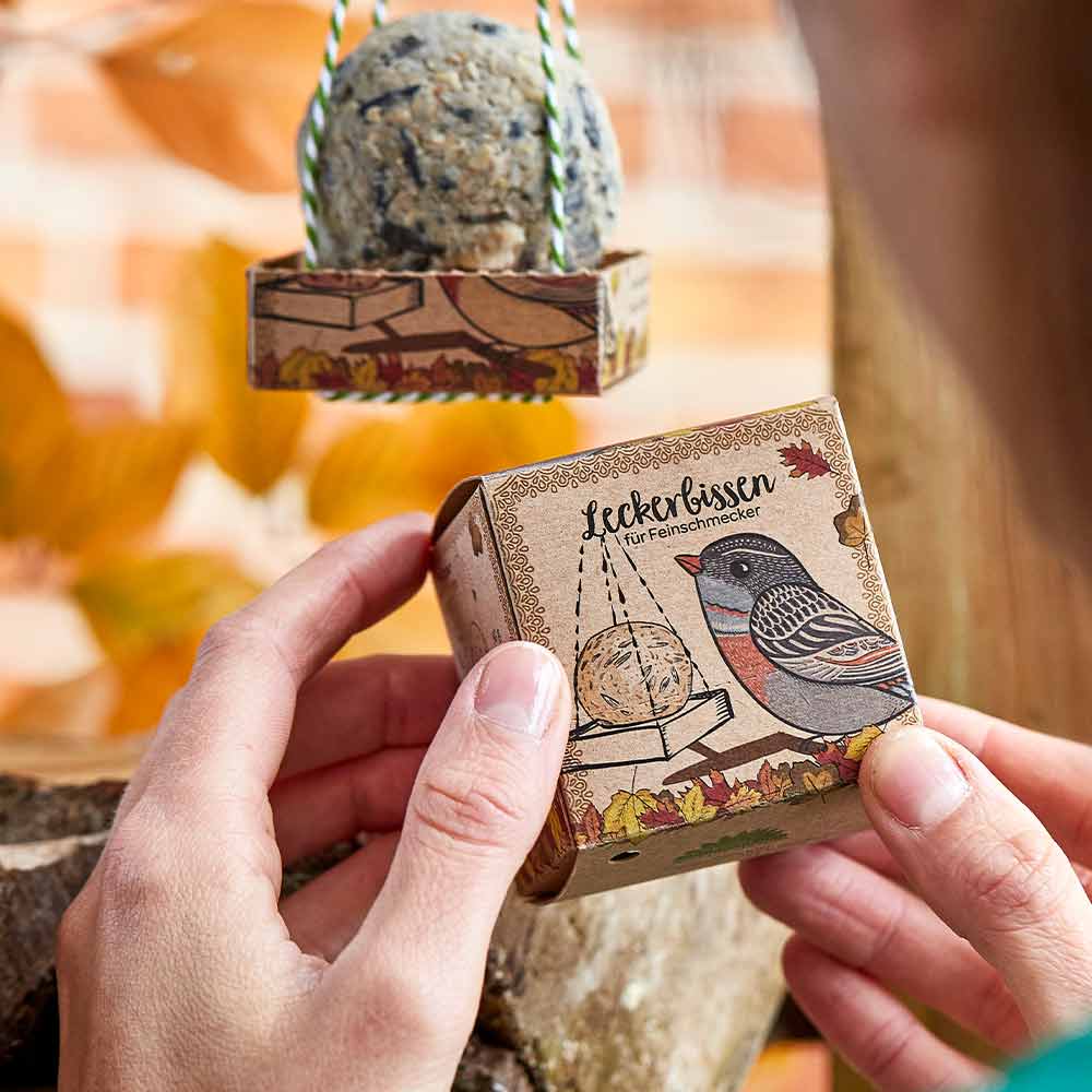 Feinschmecker Leckerbissen für Vögel
