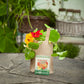 Minigarten aus der Tüte (Basilikum/Erdbeere/Chili/Sonnenblume/Kapuzinerkresse)