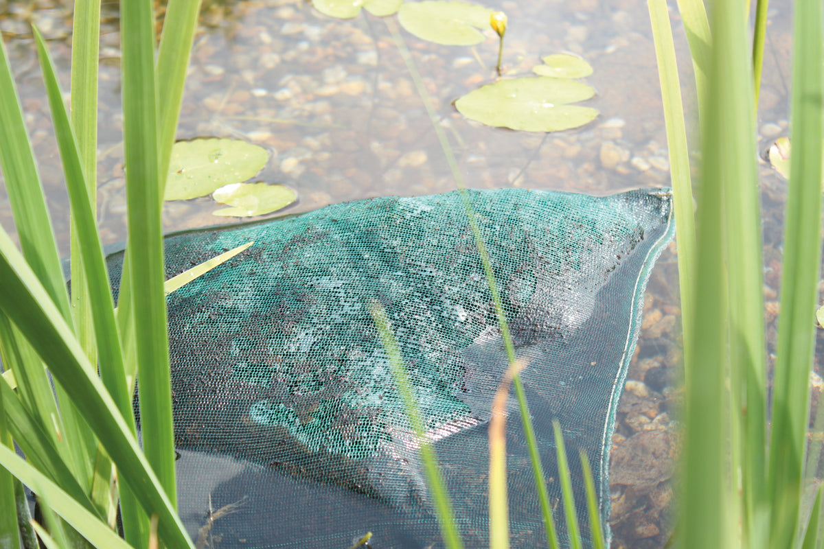 Algenschutz AquaActiv AquaHumi