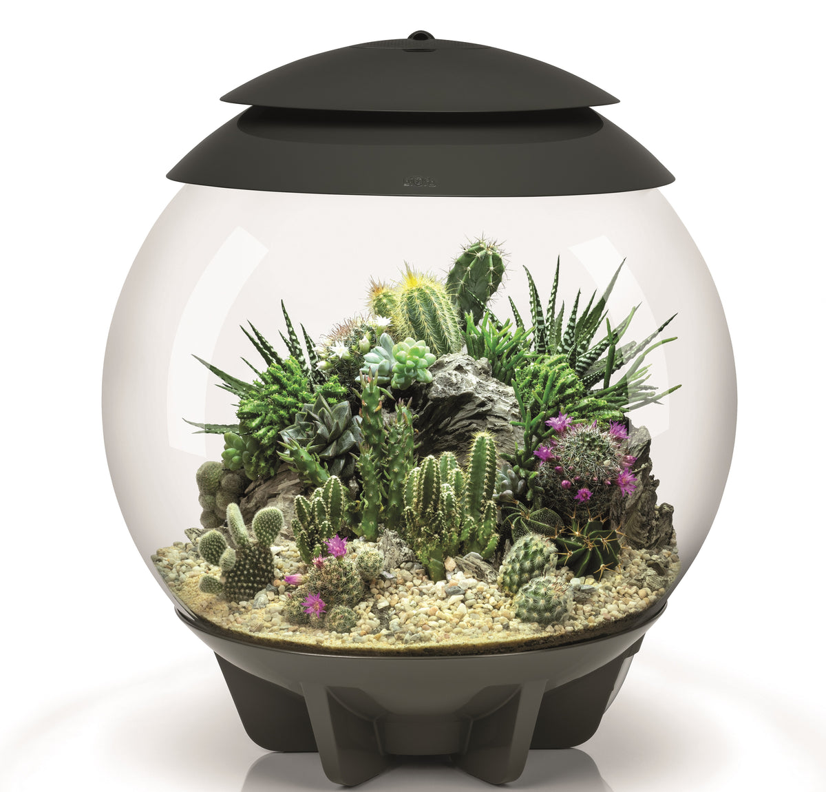 biOrb AIR 30 grau Terrarium